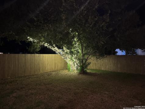 5311 Spanish Bluebells San Antonio TX 78261