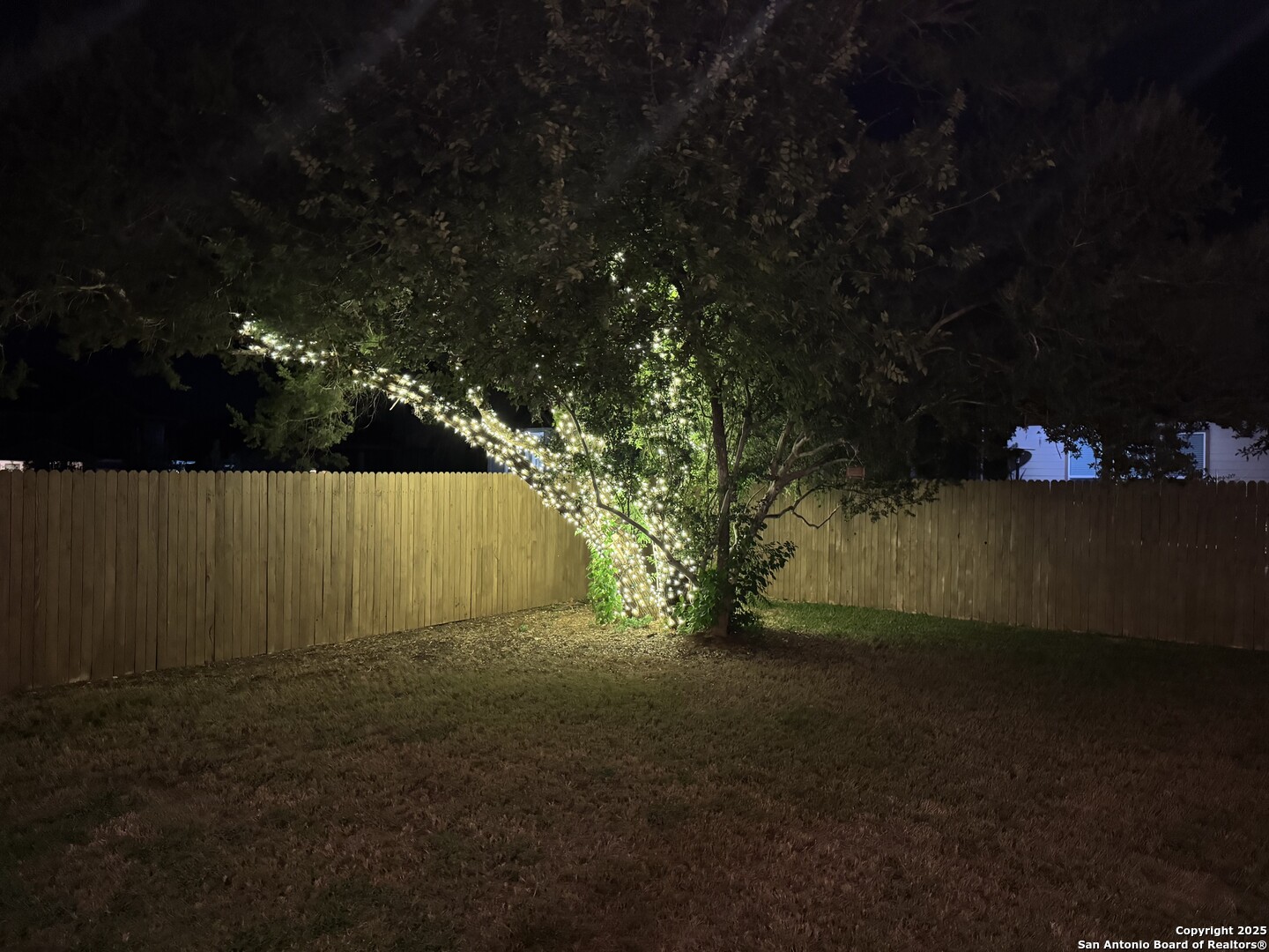 5311 Spanish Bluebells San Antonio TX 78261