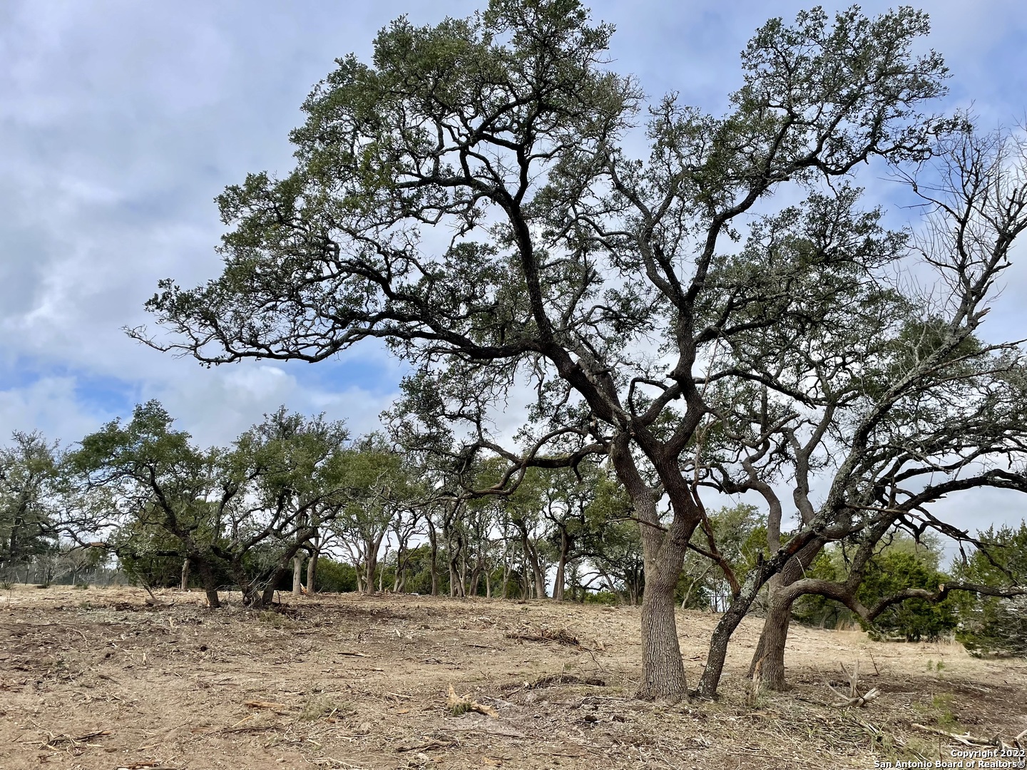 1137 Madrone Road Fischer TX 78623