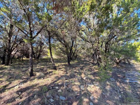 545-561 Lake Park Loop Canyon Lake TX 78133