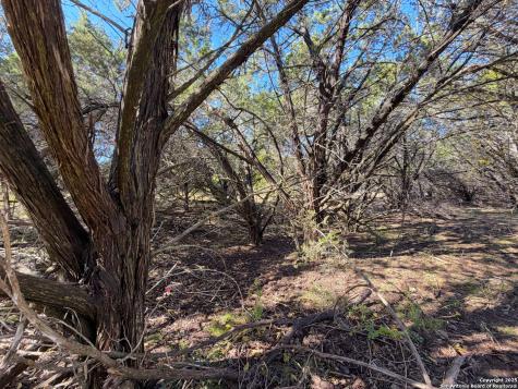 545-561 Lake Park Loop Canyon Lake TX 78133