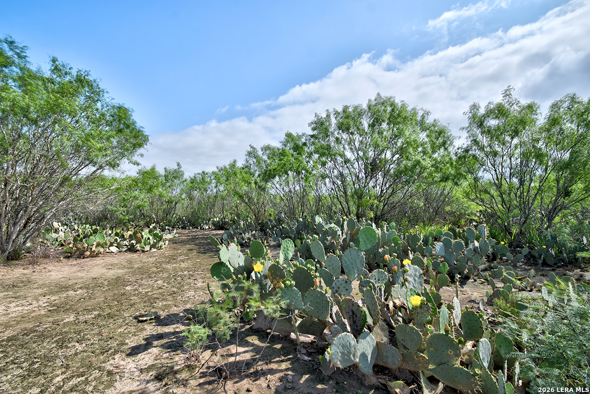 311 N 3rd Street Christine TX 78012