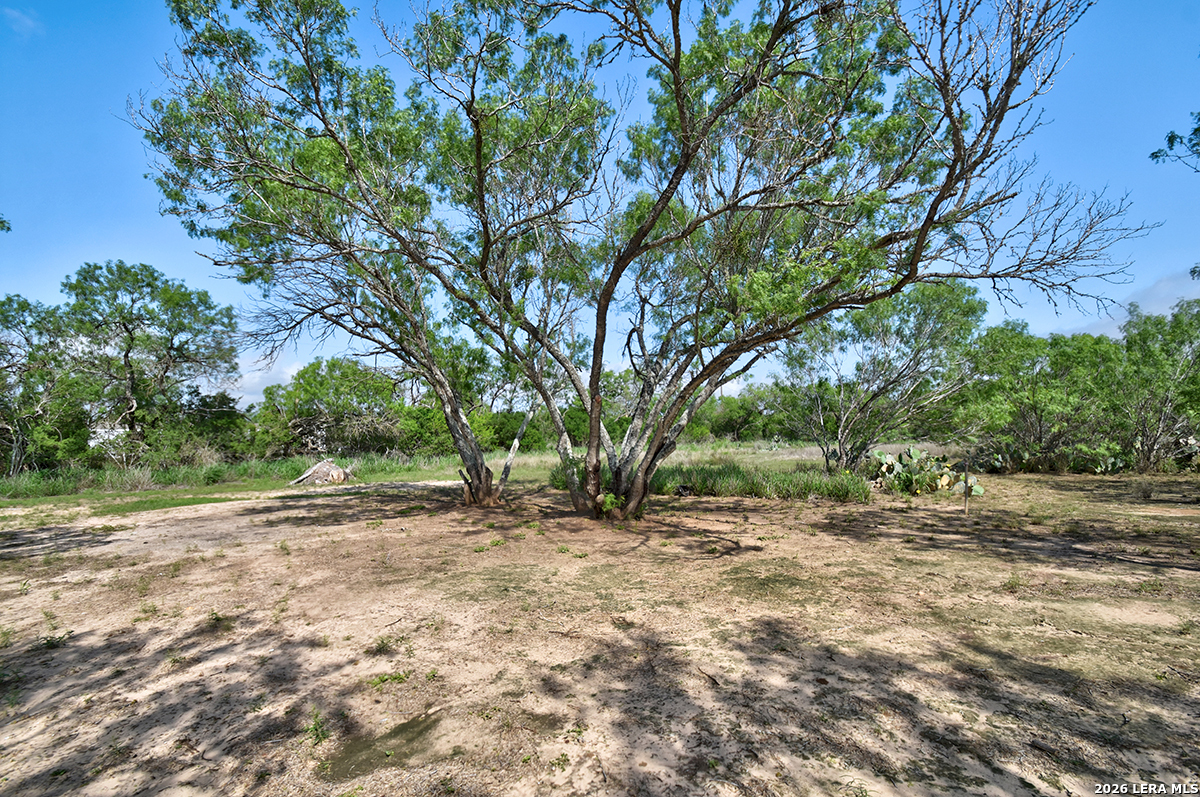 311 N 3rd Street Christine TX 78012