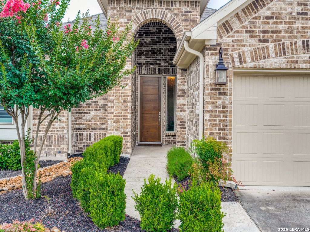 18215 Wild Onion San Antonio TX 78258