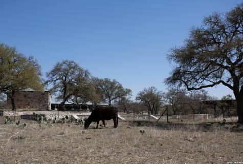 2951 Fall Creek Road Kerrville TX 78028