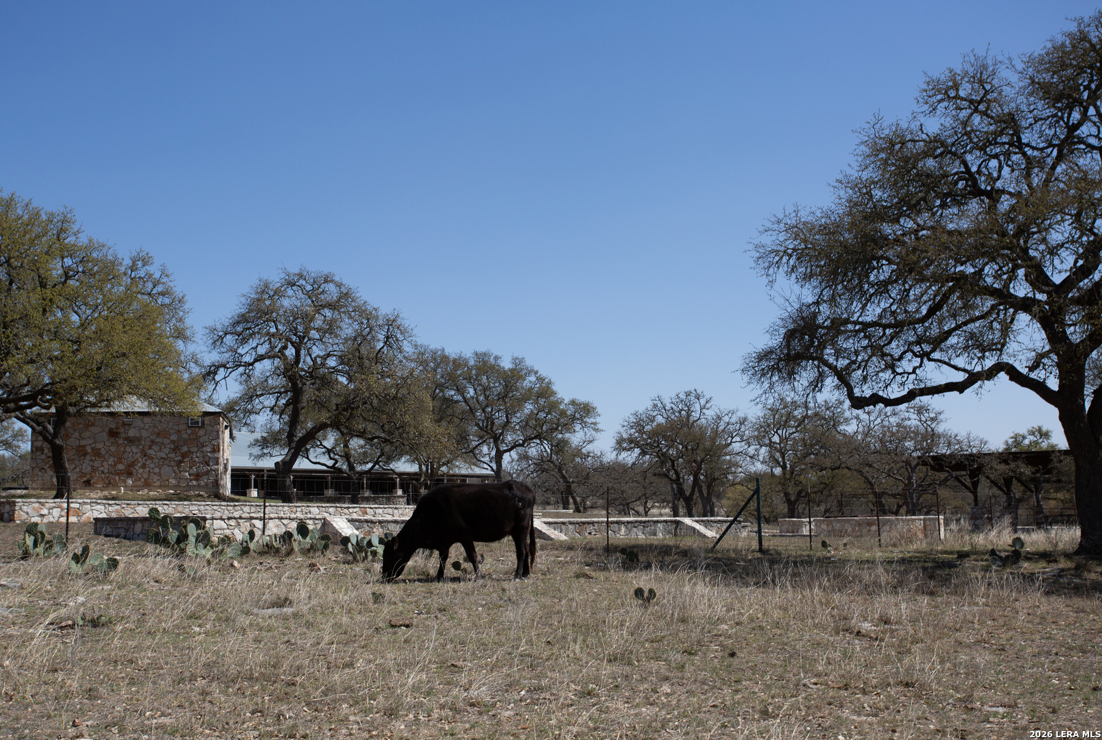2951 Fall Creek Road Kerrville TX 78028