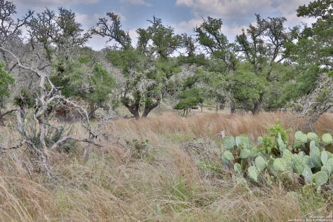 25 Dallas Josie Road Harper TX 78631