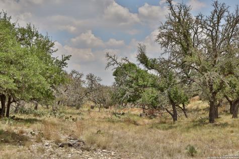 25 Dallas Josie Road Harper TX 78631