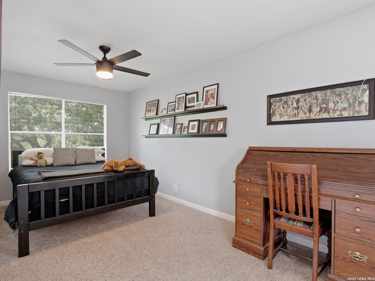 1357 Trail Bluff Drive New Braunfels TX 78132