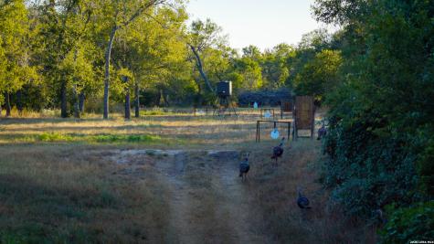 106 County Road 253 Poth TX 78147
