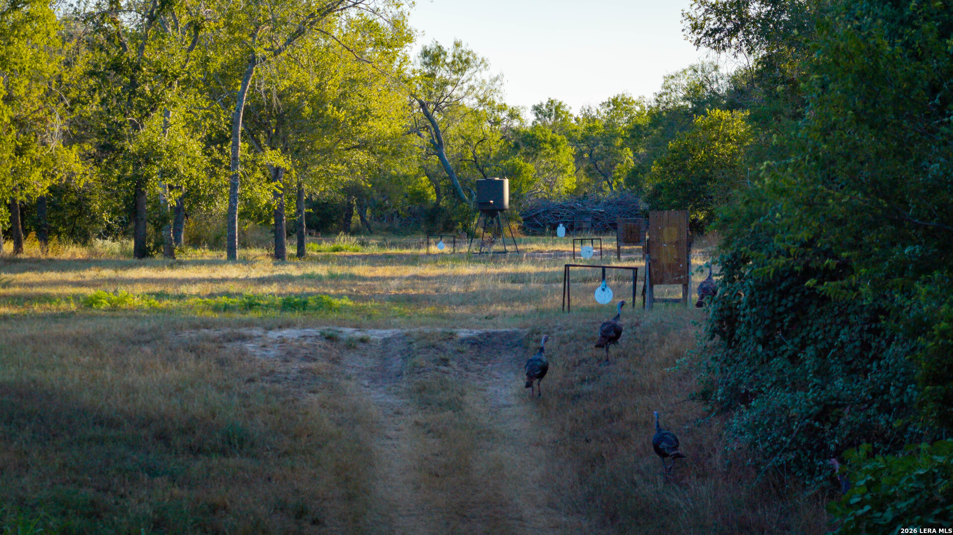 106 County Road 253 Poth TX 78147