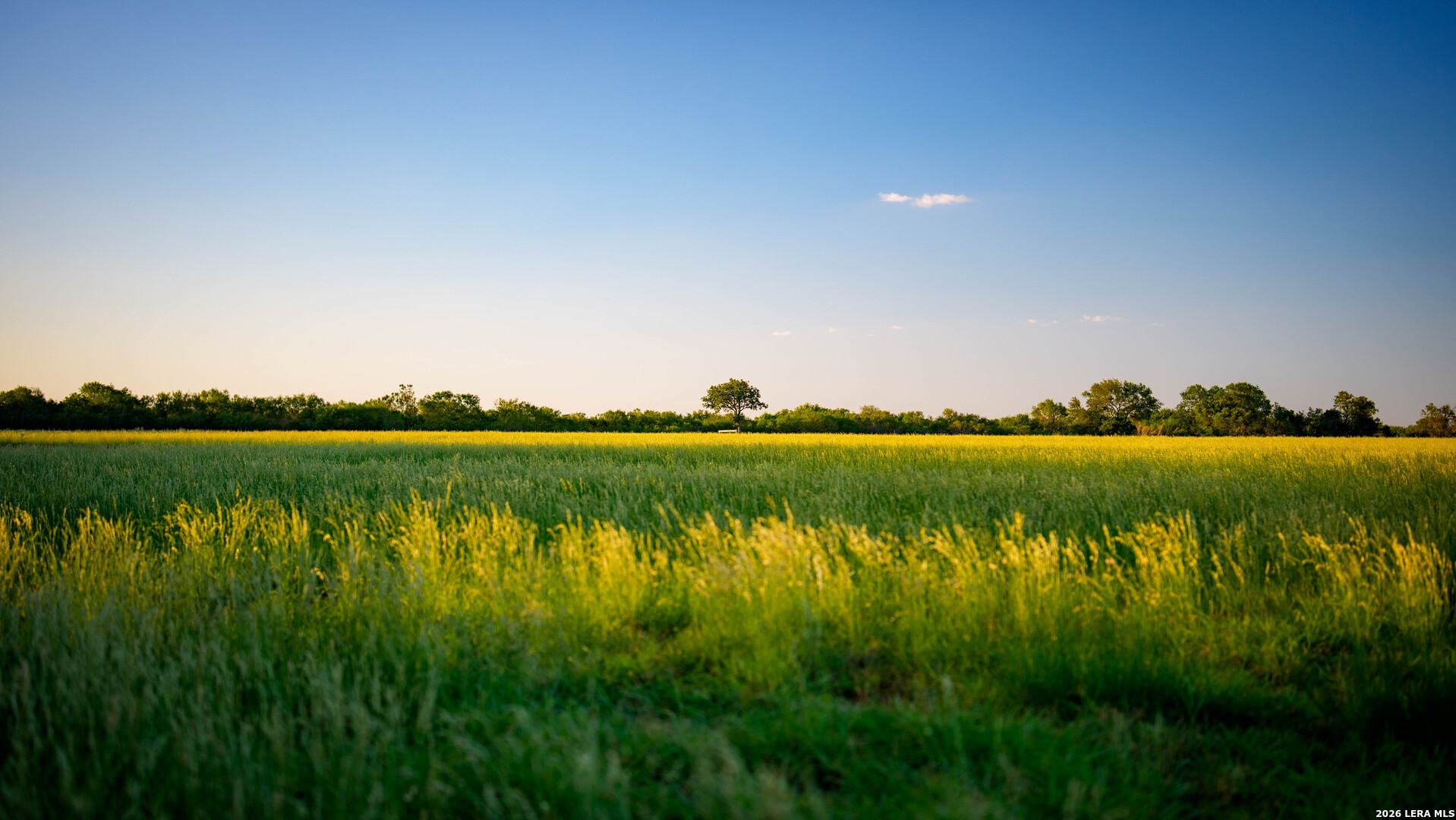 106 County Road 253 Poth TX 78147