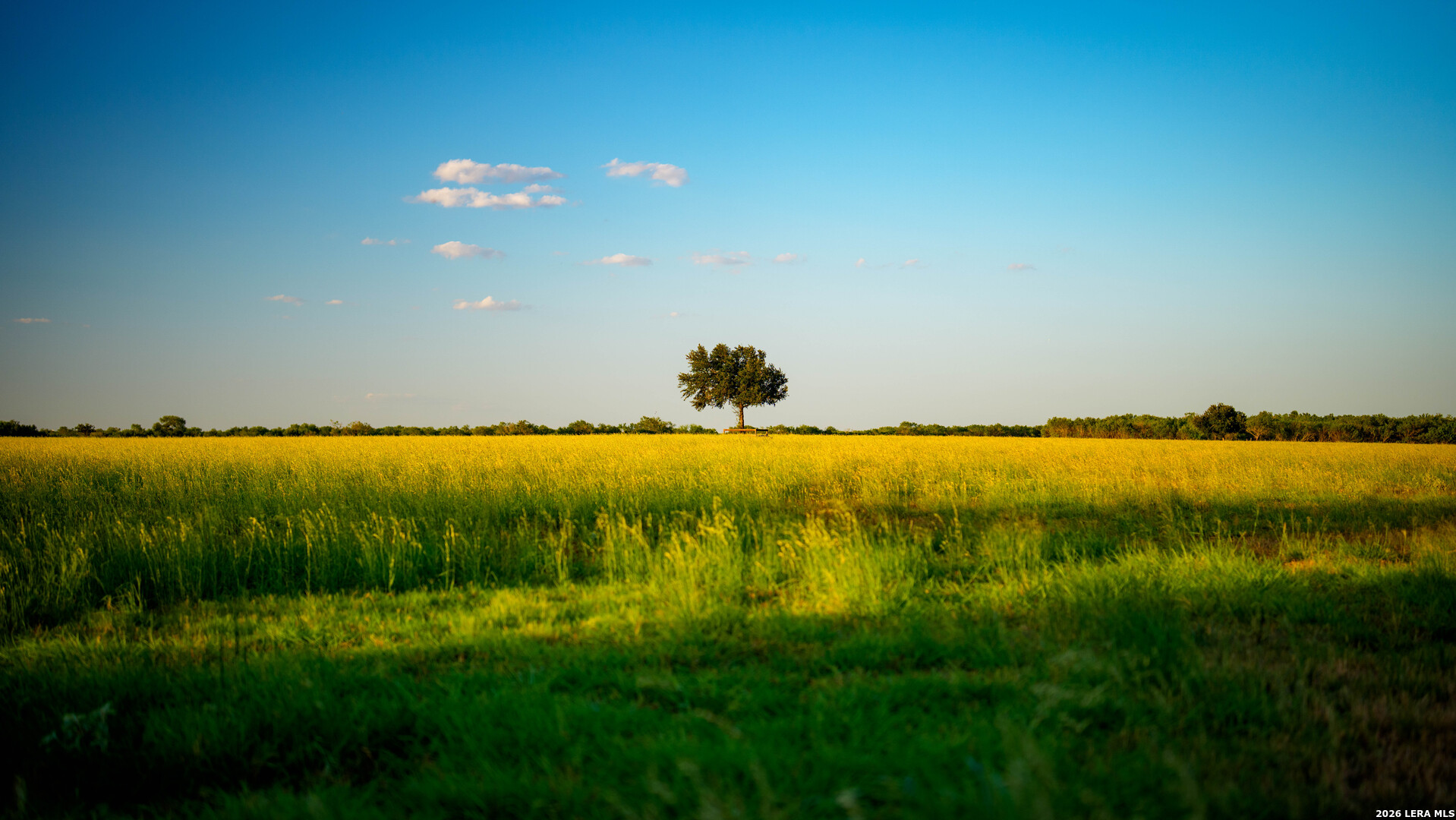 106 County Road 253 Poth TX 78147