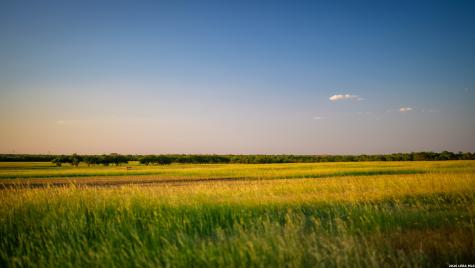 106 County Road 253 Poth TX 78147