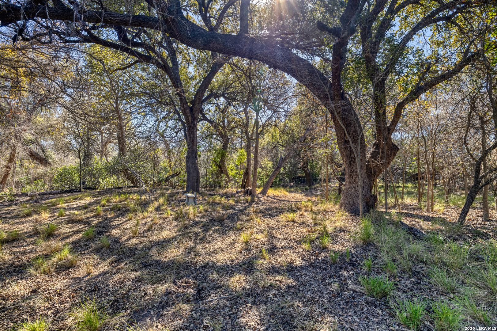 1140 E Curtis Bourn Crystal City TX 78839