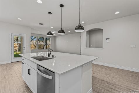 10207 Cactus Hills San Antonio TX 78254