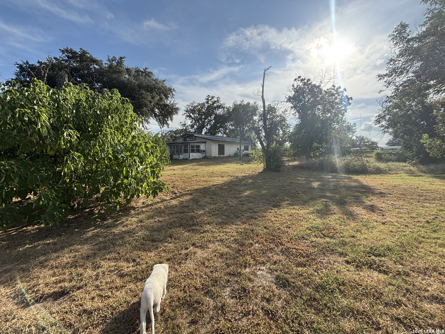 3280 Gopher Hill San Antonio TX 78263