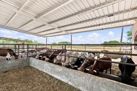 14906 Somerset Von Ormy TX 78073