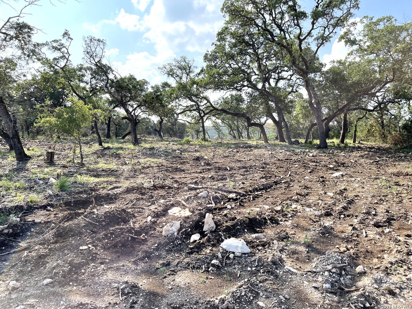 1310 Cutler New Braunfels TX 78132