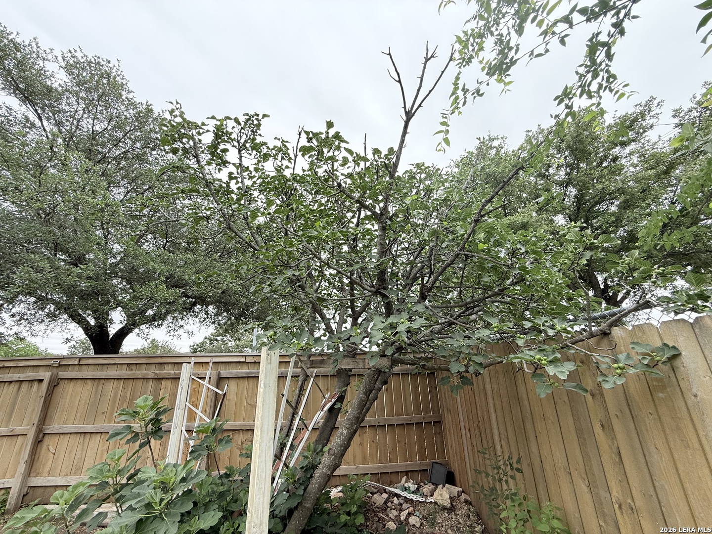 10602 Appaloosa Bay San Antonio TX 78254