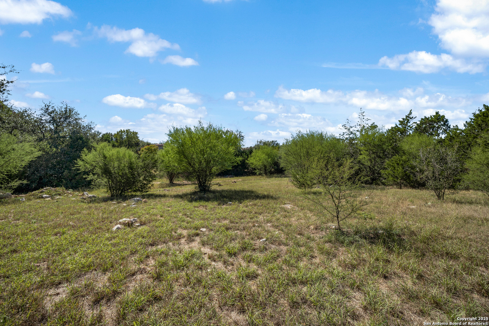 22811 Grande Vista San Antonio TX 78261