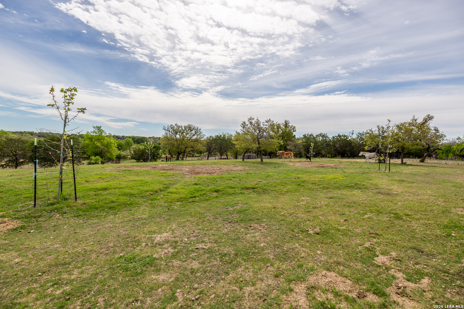 395 Bluff Creek Center Point TX 78010