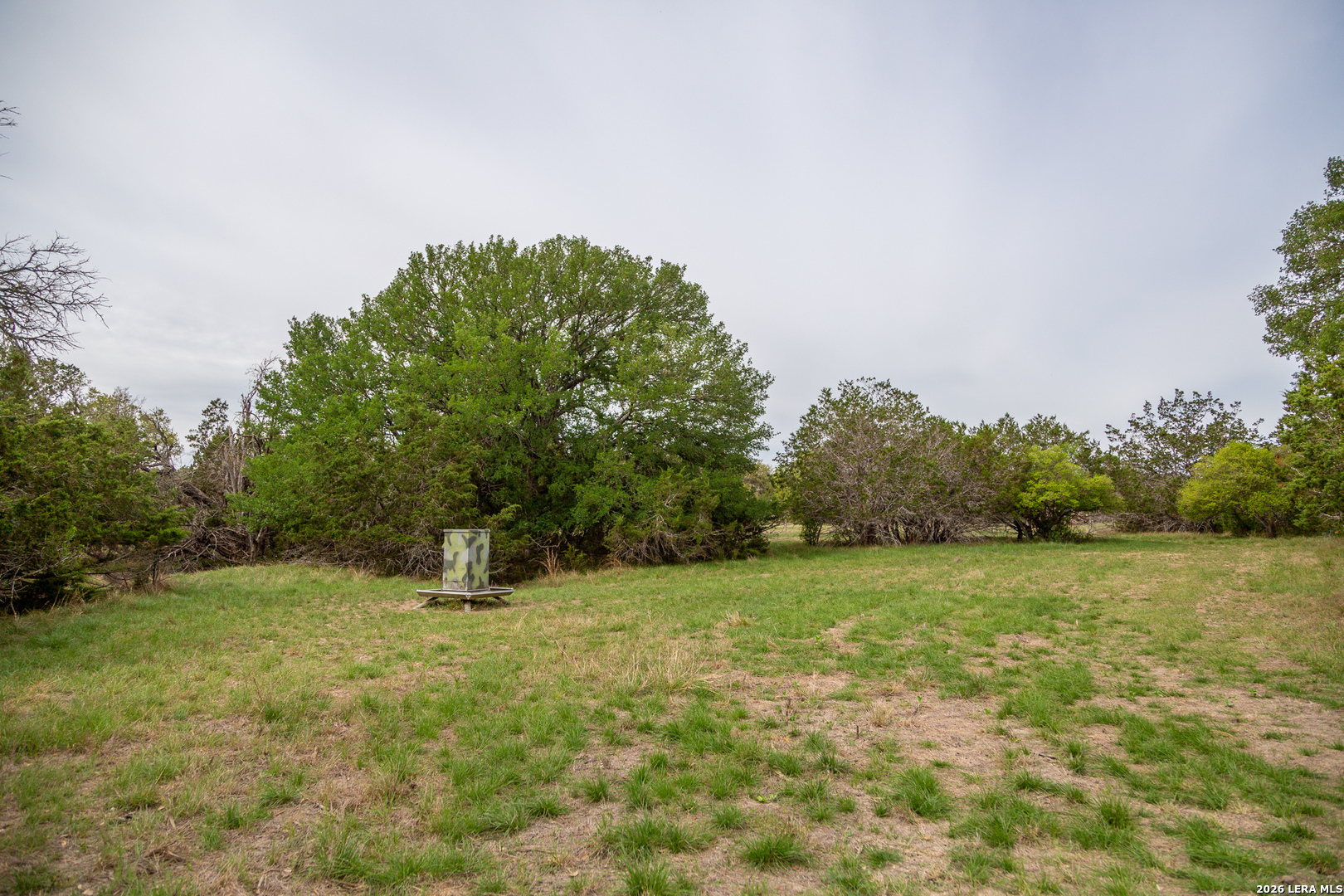 395 Bluff Creek Center Point TX 78010