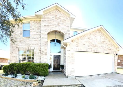 1230 Sandhill Crane New Braunfels TX 78130