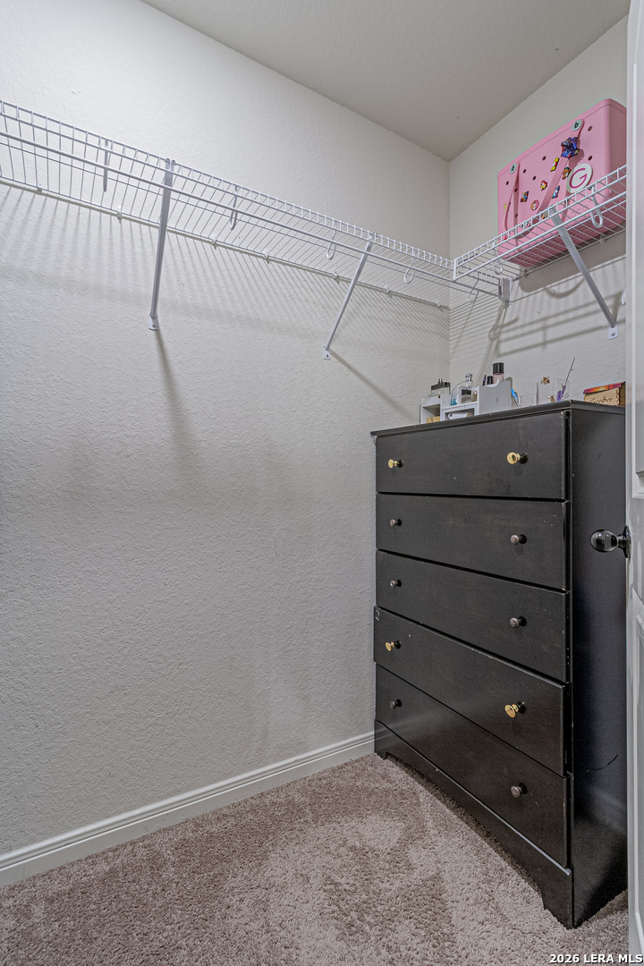 2831 Lavender Meadow San Antonio TX 78222