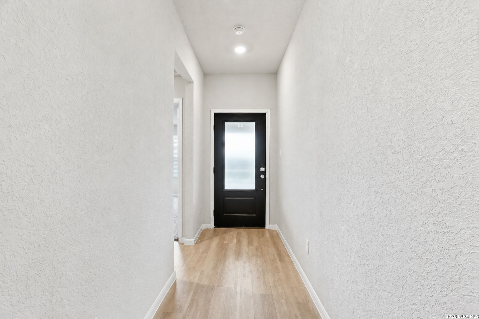 2509 Arctic Warbler New Braunfels TX 78130