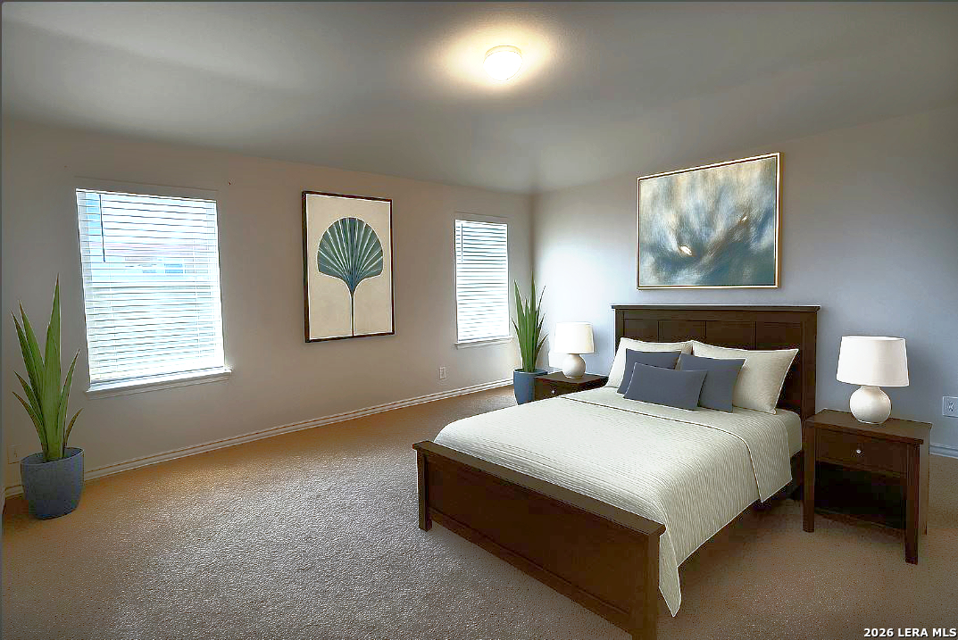 13314 Wood Sedge San Antonio TX 78254