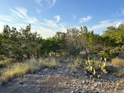 415 Scarlet Canyon Lake TX 78133