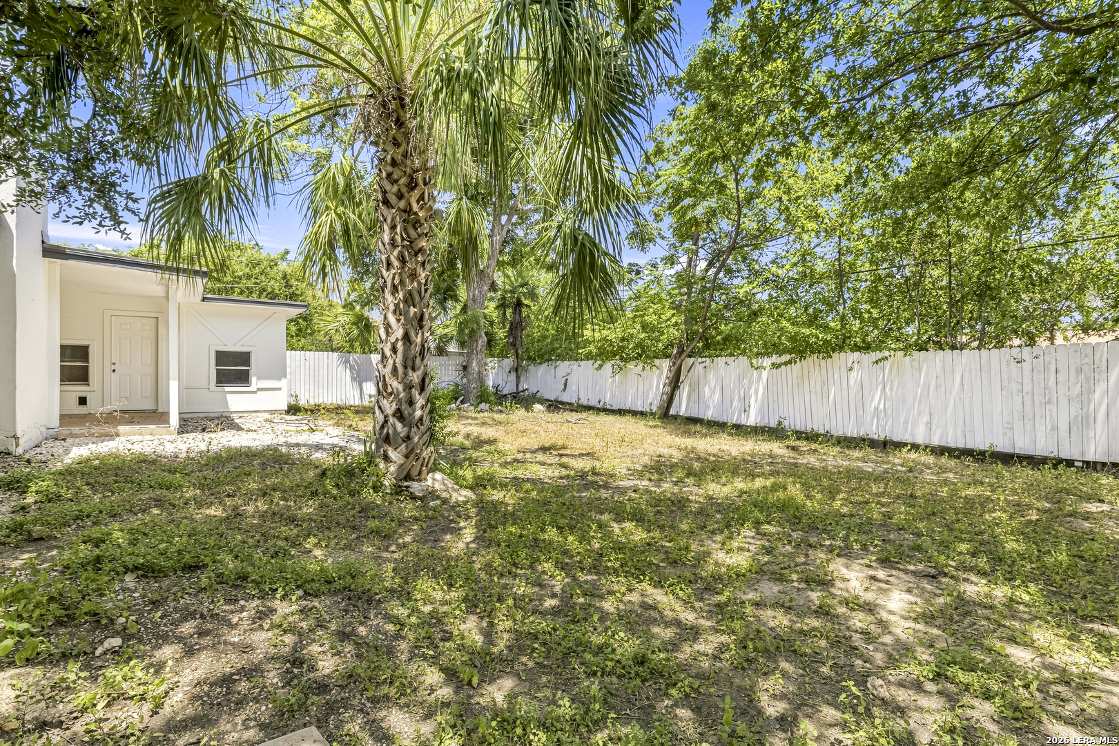 447 Senova Drive San Antonio TX 78216