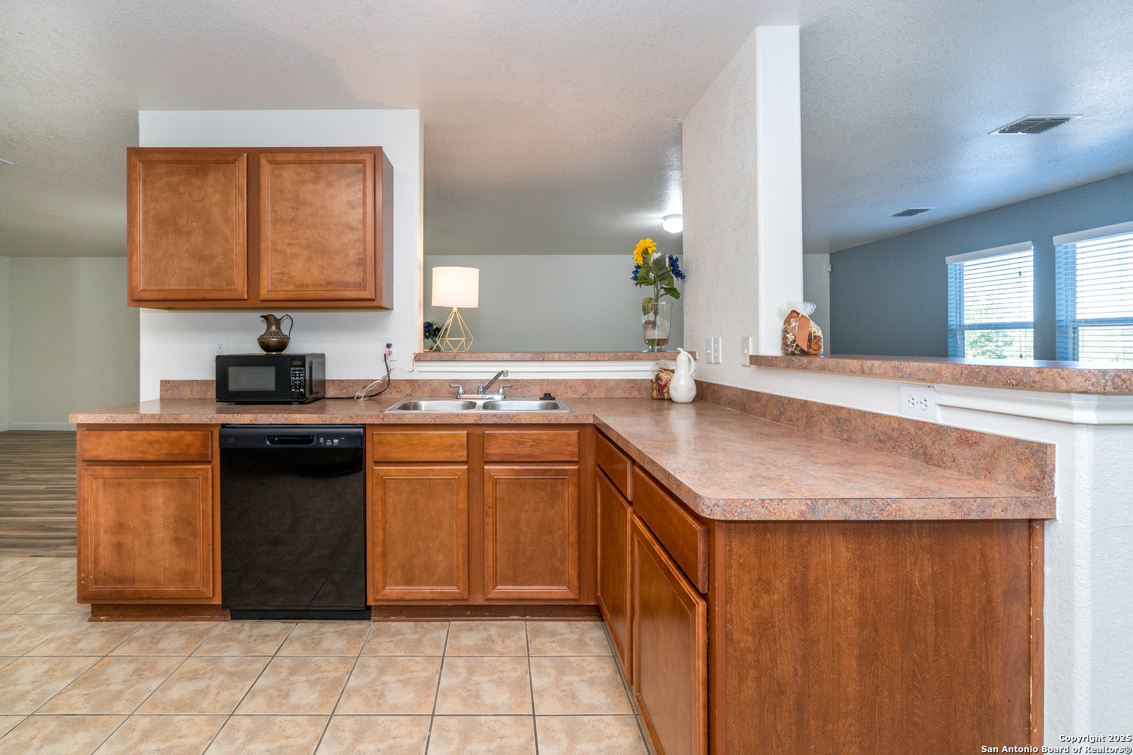 13003 Southton San Antonio TX 78223