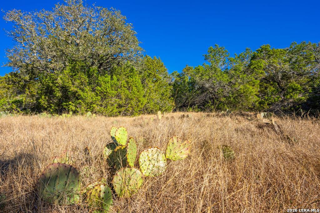 4772 County Road 340 Burnet TX 76905