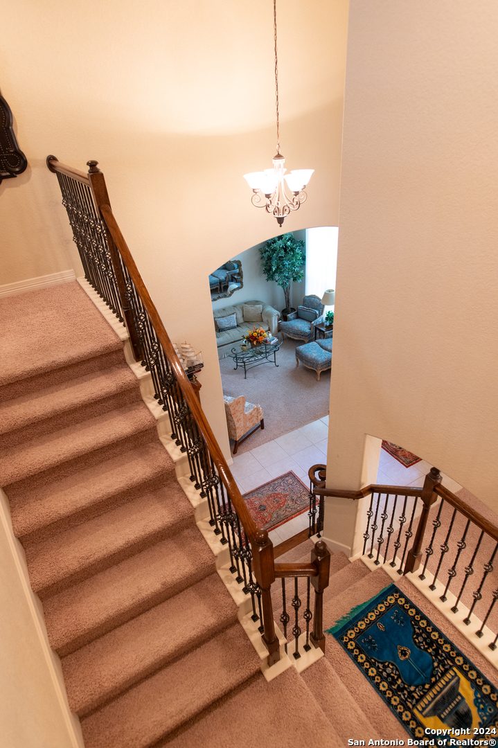 21706 Chaucer Hill San Antonio TX 78256