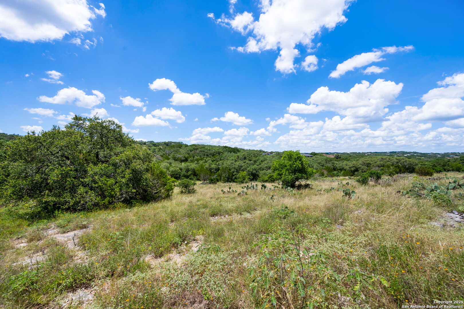 163 Northridge New Braunfels TX 78132