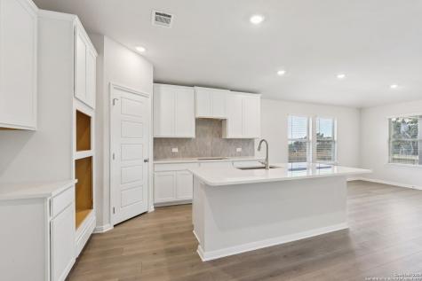 205 Bark Hollow Avenue Cibolo TX 78108