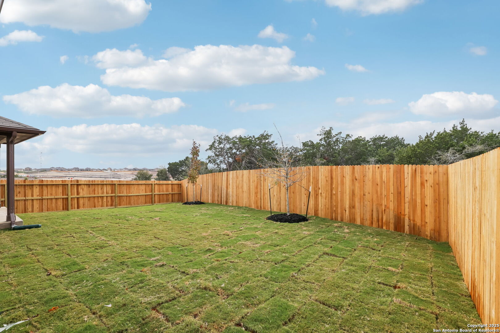 205 Bark Hollow Avenue Cibolo TX 78108