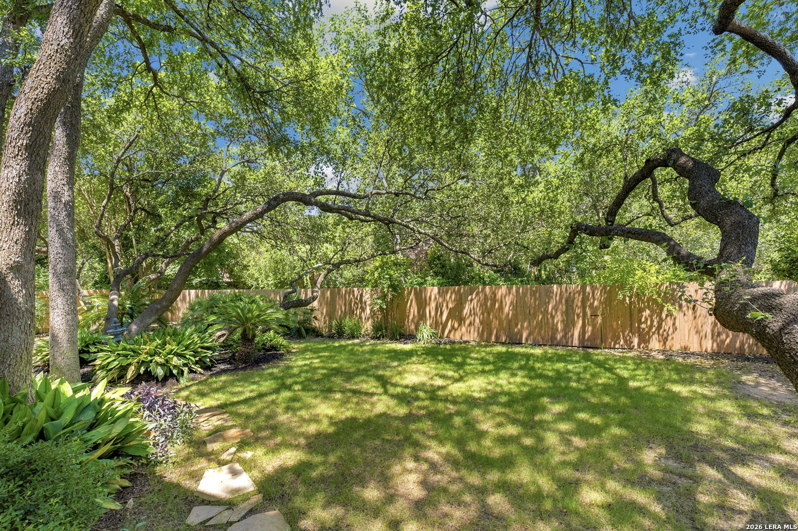 15666 Dove Meadow San Antonio TX 78248