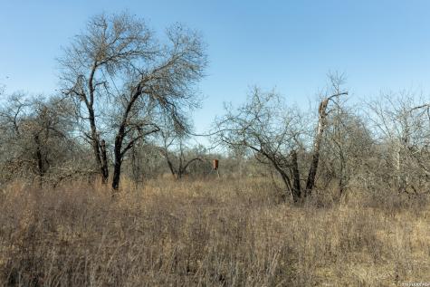 461 County Road 6723 Natalia TX 78059