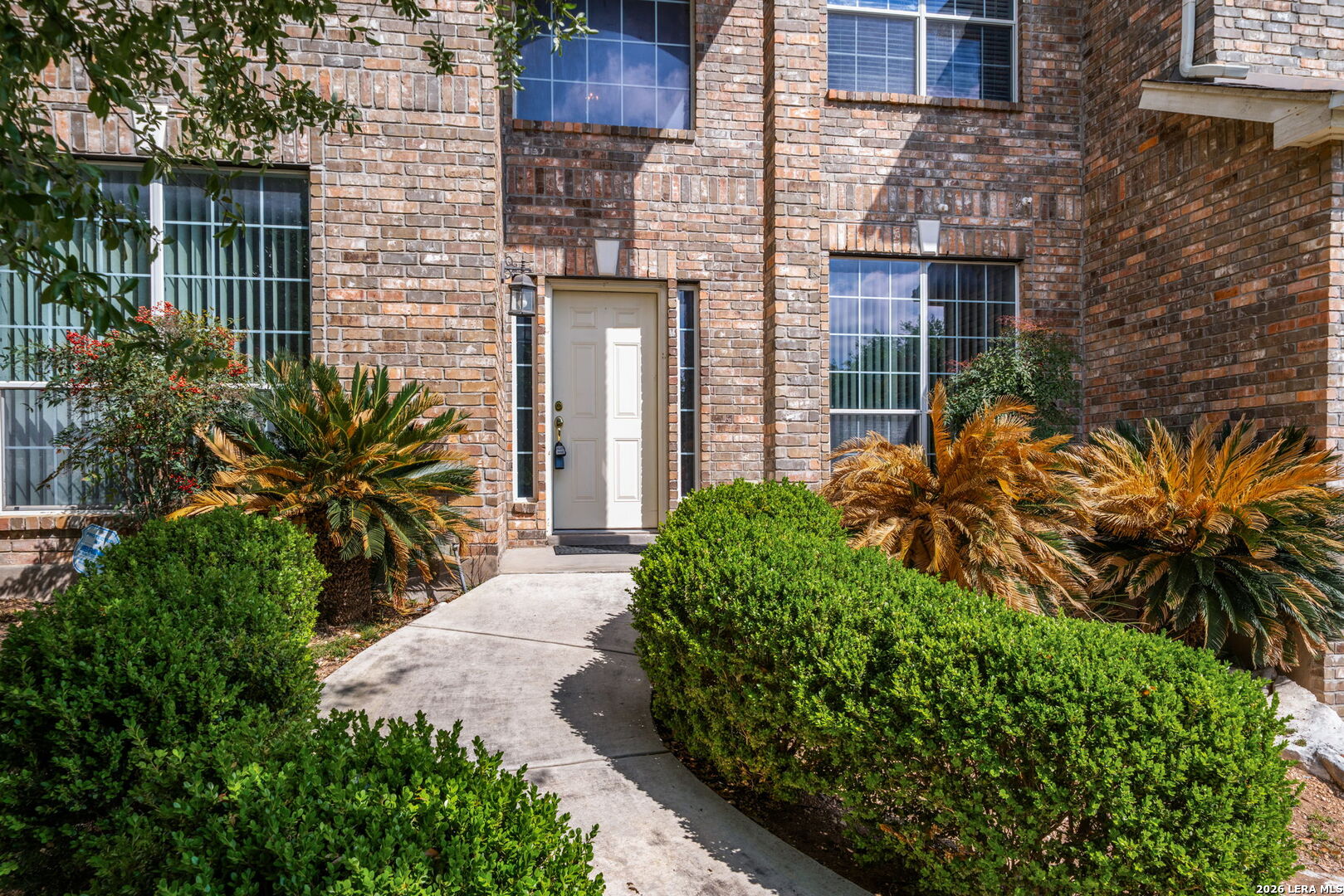 515 Catanbo San Antonio TX 78258