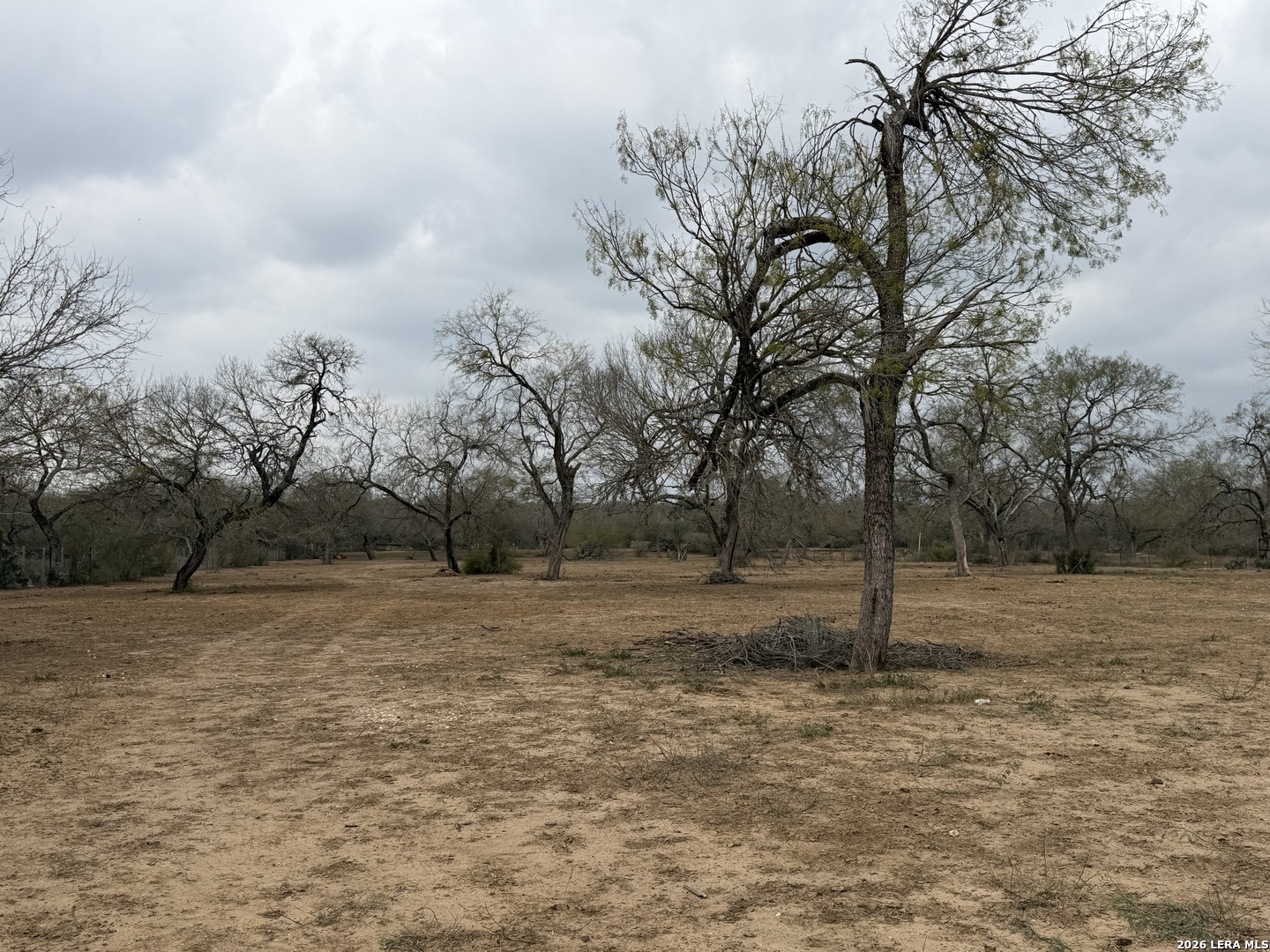 21115 Spanish Grant San Antonio TX 78264