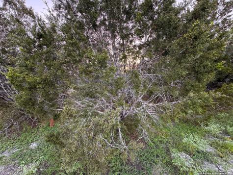 1001 Oblate Drive Canyon Lake TX 78133