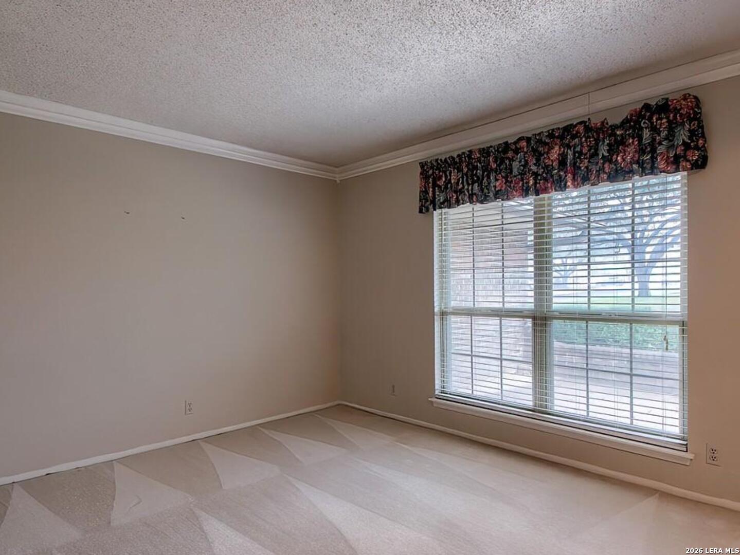 100 Patrick Henry Schertz TX 78154