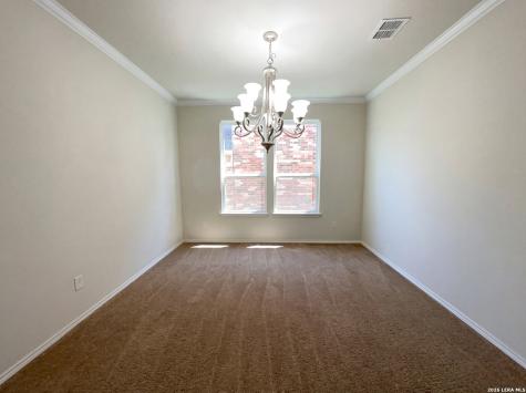 13911 Persimmon Cove San Antonio TX 78245