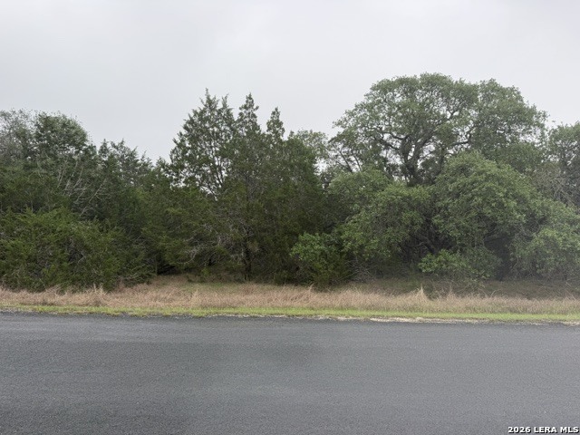 103 Buttermilk Spring Branch TX 78070