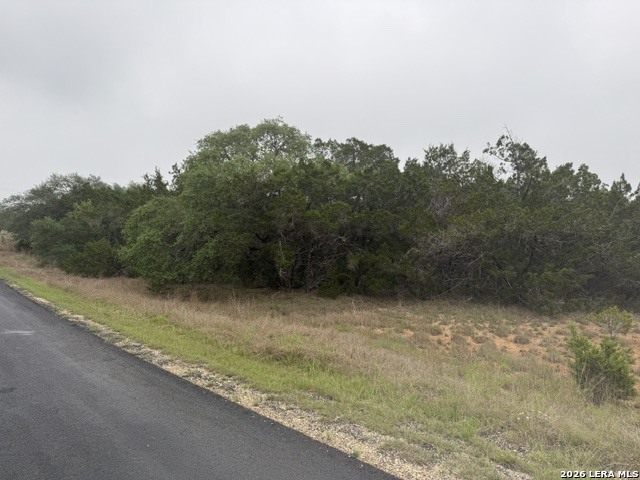 103 Buttermilk Spring Branch TX 78070