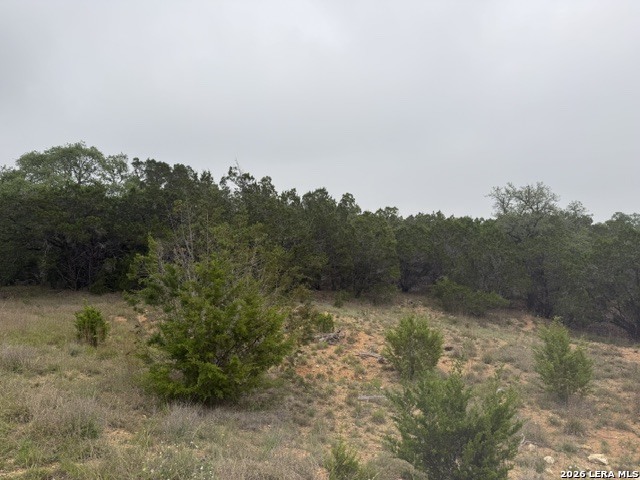 103 Buttermilk Spring Branch TX 78070