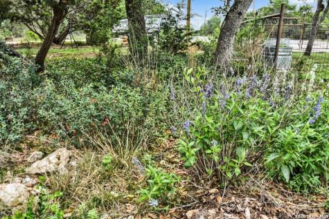 1211 Spruce Lane Fischer TX 78623